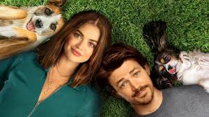 تحميل فيلم Puppy Love مترجم 2023