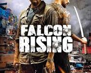 فيلم falcon rising