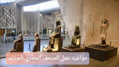 مواعيد عمل المتحف المصري الجديد في عيد الأضحى 2025