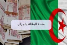 كيفية تجديد منحة البطالة 2025 في الجزائر (الرابط الخطوات الشروط)