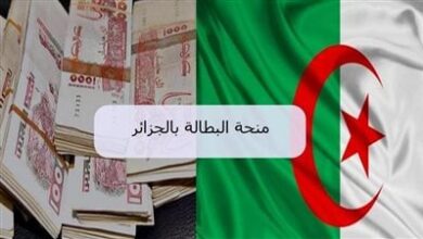 كيفية تجديد منحة البطالة 2025 في الجزائر (الرابط + الخطوات + الشروط)