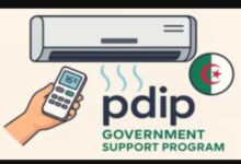 كيفية ‏التسجيل في منصة pdip الرقمية للحصول على دعم 50 ألف دينار 2025