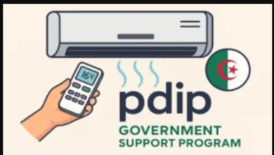 كيفية ‏التسجيل في منصة pdip الرقمية للحصول على دعم 50 ألف دينار 2025