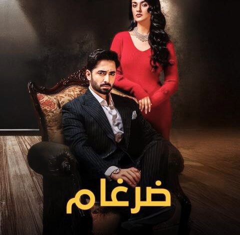قصة مسلسل ضرغام 2025: تفاصيل وأحداث