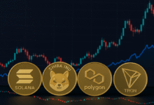 أرخص العملات الرقمية المربحة للاستثمار في عام 2025
