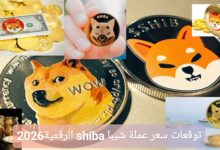 ترند العالم توقعات سعر عملة شيبا shiba الرقمية في عام 2026 توقعات سعر عملة شيبا shiba الرقمية في عام 2026