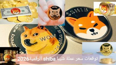 ترند العالم توقعات سعر عملة شيبا shiba الرقمية في عام 2026 توقعات سعر عملة شيبا shiba الرقمية في عام 2026