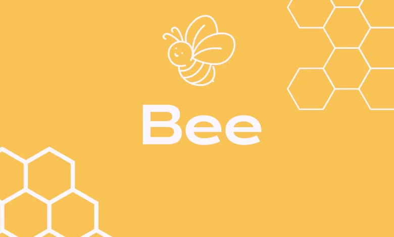 ترند العالم كم سعر عملة Bee الرقمية مقابل الدولار الأمريكي 2026 كم سعر عملة Bee الرقمية مقابل الدولار الأمريكي 2026