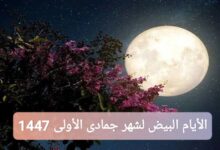 ترند العالم ما هي الأيام البيض لشهر جمادى الأولى 1447 بالتقويم الميلادي والهجري ما هي الأيام البيض لشهر جمادى الأولى 1447 بالتقويم الميلادي والهجري