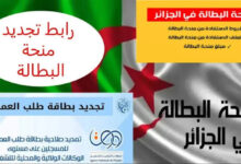 من هنا.. رابط تجديد منحة البطالة 2026 في الجزائر