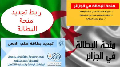 من هنا.. رابط تجديد منحة البطالة 2026 في الجزائر