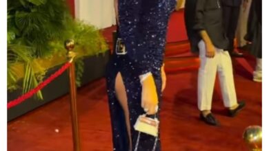 ترند العالم شاهد أحدث ظهور جويل مردينيان وجدل فستانها في مهرجان الجونة 2025 شاهد أحدث ظهور جويل مردينيان وجدل فستانها في مهرجان الجونة 2025